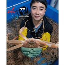 [산지직송] 동해안 구룡포 홍게 특가!, 수율보장! 정품 10마리