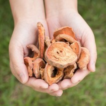 국산 모과(편) 400g 모과차 말린 건조 건 한방 국내산, 12TK_국)모과(편)400g
