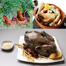 토종닭 2.2kg내외 오골계 백숙용 생닭 [티백 증정] 볶음탕 제사용닭 생오리 시골토종 몸보신용 주문손질 [17시이전 주문시 당일발송][설연휴 18일 4시마감 26일 순차발송], 제사용 토종닭 1개