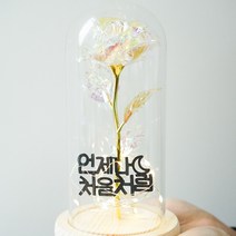 굿라이프 토퍼 홀로그램 장미 유리돔 무드등, 11.오래오래건강하기, 우드