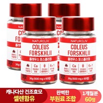 건조효모 콜레우스 포스콜리 결정판 60정 셀레늄 판토텐산 칼슘, 4개, 4개