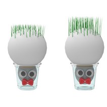 생명과학 교육용 식물끼우기 실험키트 아기선물용 화학교구 초등학생 학습용 사이언스 만들기놀이 행사용품 기본개념 홈스쿨링 연구실 교실꾸미기 수업교재