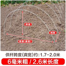 새로운 작은 아치 브래킷 야채 창고 기둥 분야 단열 FRP 단단한 유리 섬유 농업 묘목, 20개, 두께 6mm - 길이 2.6m
