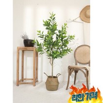 인조 자작나무 목 조화 도매 팜파스 나무 모형 -, A 150cm행운의나무+해초바구니