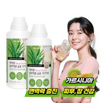 내츄럴플러스 에버핏 알로에겔 청포도맛 1000ml 2병, 권나라 에버핏 알로에겔다이어트
