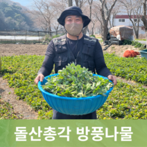 [돌산총각] 산지직송 금오도 방풍나물 노지재배, 방풍나물 1kg