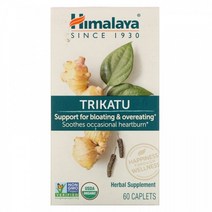 (아이허브) 헬스케어 크리카투 280mg 60정 아유르베다 빠른직구