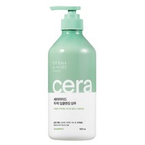 더마앤모어 세라마이드 샴푸, 2개, 600ml