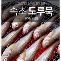 (100%국산 1+1) 속초 급냉 일품 도루묵 800g+800g 총1.6kg 한정판매, 1세트(특가)