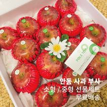[폴탑무료배송] 안동 사과 부사 선물세트 소형 / 중형, 소형 선물세트