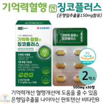 기억력 혈행 징코플러스 은행잎추출물 나이아신 아연 판토텐산 징코 식약처인증, 2박스, 500mg x 30정