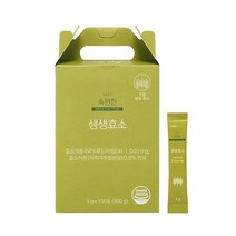 네츄럴굿띵스 속편한 생생효소 100포 x 1박스, 3g x 100포, 1개