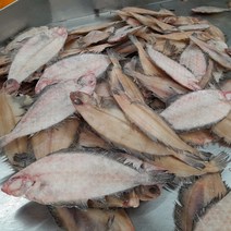 국내산 반건조 기름가자미 10미 1kg 조림 구이 식해용 물가자미 미주구리 말린 가재미 생선 요리