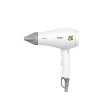 Youpin 접이식 헤어 드라이어 글로벌 범용 전문 블로우 여행용 빠른 건조 휴대용 미니 110 V-220 V, 01 white_01 미국