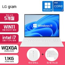 LG 그램 16인치 인텔 i7 11세대 16GB 512GB WIN11 가성비 사무용 대학생 인강용 학생용 가벼운 노트북, 16Z90P-KAE7U1, WIN11 Home, 코어i7, 실버