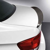 BMW X6 E71 카본 루프스포일러 도색용 글라스윙 퍼포, C TYPE (X6 도색용 루프스포일러)
