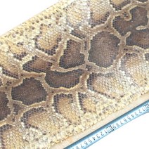 배우기 국악기 음악 아쟁 국악 해금 악기 고급 동양 연습용 판소리 연주, 가로250cm 세로28cm 파이톤한줄
