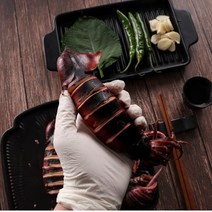 국내산 초코오징어 횟감 생물 급냉 회 오징어통찜 1kg 4~5미내외 통찜용오징어 안주 간식 찜 캠핑 튀김 국, 1개