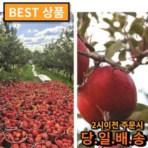 비엘팩토리 경북 의성 당도선별 세척사과 2kg 3kg, 2kg 중과, 1개