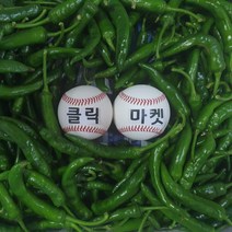 클릭마켓 국내산 매운 고추 청양고추 땡초 1kg 2kg 5kg, c청양고추: 상 1kg, 1개