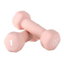 [아리프] 선인장 미용아령 1kg 세트 홈트 덤벨 헬스, 상세 설명 참조