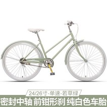 전기로드자전거 전문 고정 기어 자전거 도시 운동 Mtb 트랙 레이스 프레임 SQC, 14.D - 24 inches - 7 speed