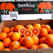 미국 네이블 오렌지 중소과 113과 18kg, 단품