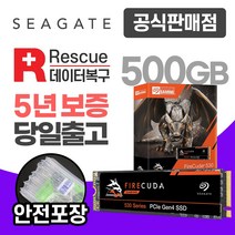 씨게이트 게이밍 M.2 NVMe SSD 530 (PS5 호환), 500GB