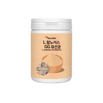 락토바실러스 람노서스gg 프로바이오틱스 모유유래 신바이오틱스 유익균 유산균추천 효능 신 프로바이오틱스 생유산균 L 람노서스 GG, L람노서스GG 유산균 230g 2개