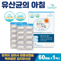 프로바이오틱스 유산균 캡슐 김치유산균 식물성 장용성캡슐 식약청인정 프리바이오틱스, 1박스, 유산균의아침 60캡슐