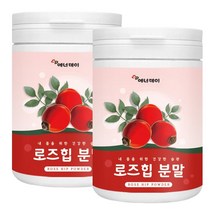 로즈힙분말 100% 폴란드산 로즈힙 가루 분말 사용 ROSE HIP POWDER, 2통, 120그람