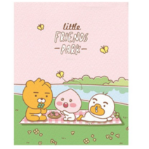 아이러브페인팅 리틀프렌즈 DIY PAINTING 40 x 50 cm, 소풍 핑크