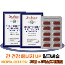 스트레스 밀크시슬 식 약 처 인증 간 보호제 2박스 서양 민들레 잎 분말 실리마린 실리빈 제제 효능 효과 추천 기운이없을때 간이 안좋을때 무기력 지친간 기능 유지 증상 개선