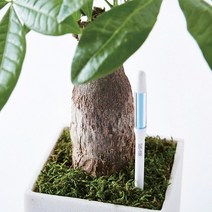바보사랑 (SUSTEE) 서스티 물주기 알리미 식물수분계.서스티, L-화이트