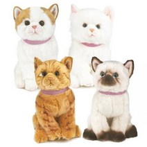 기타 바보사랑[엔토이][몽글냥글 애니멀] 귀여운 리얼 고양이 인형 30cm 4종, 치즈태비, 선택:치즈태비