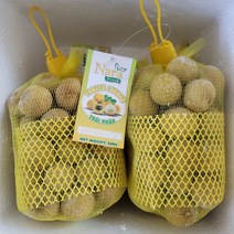 (2개 이상부터 구매) 베트남 냉동 용안 / Nhan Dong Lanh Viet Nam 500g, 10개
