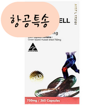 마더네스트 초록홍합 7500mg 365개입 MOTHERNEST GREENSHELL MUSSEL PURE 750mg 365caps [미국 직배송], 1개, 365정