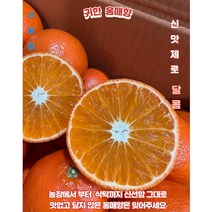 제주 홍매향 3kg 5kg 동백향 고당도 썬레드 미하야 감귤 선물용 신품종, 선물용 3kg(25과수내외), 1개