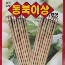 [가람종묘사] 우엉 씨앗(향이 좋으며 근피가 곱고 균일한 품종)