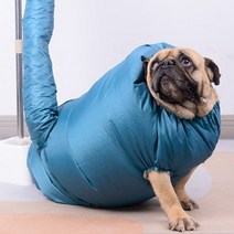 강아지 드라이기 털말리기 대형견드라이룸 펫드라이룸, 2XL(30-50kg권장)