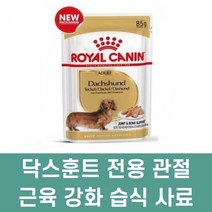 닥스훈트 전용 관절 근육 강화 습식 사료 5개 수술견사료 편식견 강아지사료추천 멍뭉이 댕댕이 수술견