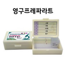 중등과학 혈액형 세포구조 현미경표본 홈스쿨링 생물체 초등학생 학습도구 실험준비물