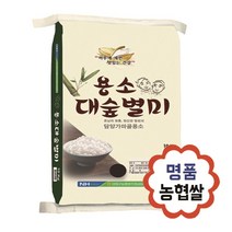 백미 쌀10kg 20kg 담양대전농협, 옵션1_2022년 일반 백미 10kg, 1개