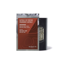 CAPSY 딥디크 DIPTYQUE 명품 차량용 방향제 캡슐 25종 향기, HAUSSMANNIEN