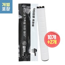 닥터피엘 정수 샤워기 호환 리필 필터 이온폴리스(녹물제거필터 10개), 1개