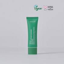 키위글로우 비건 제주 수분 논나노 무기자차 선크림 50mL (SPF50+ PA++++) 남녀공용