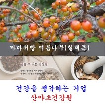 토종 칠해목진액(7일분):30팩 옻