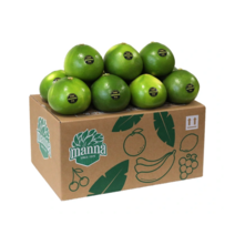 메로골드자몽10입 쌉싸름함 품종 오렌지의 달콤함 진원무역 과일채소 신선식품 디저트 기타재화 즉석가공, 단일, 1개