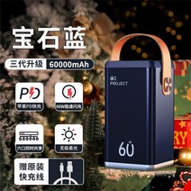 캠핑용배터리 캠핑 파워뱅크 보조 차박 밧데리 고속충전 노트북 100000mAh 220V, A 60000mAh