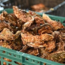 (무료배송)성혼수산 각굴(찜용), 3인분, 15kg